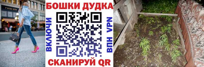 Где продают наркотики Иланский ГАШ  А ПВП  MDMA  Меф  Конопля  Псилоцибиновые грибы  Кокаин  Амфетамин 