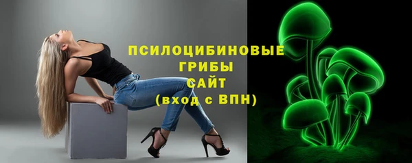 прущая мука Арсеньев