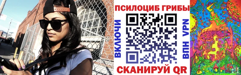 как найти закладки  Иланский  Псилоцибиновые грибы Cubensis 